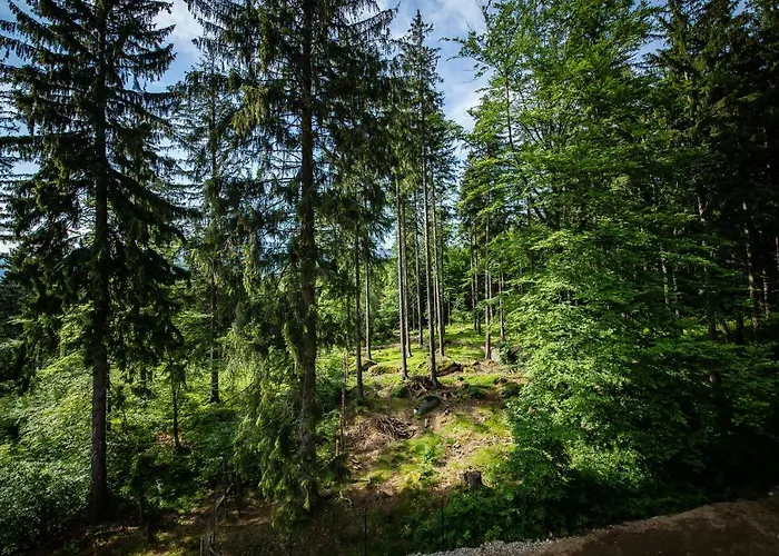 Obis Bed & Breakfast Sklářská Poruba