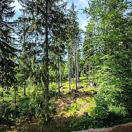 Obis Bed & Breakfast Szklarska Poręba