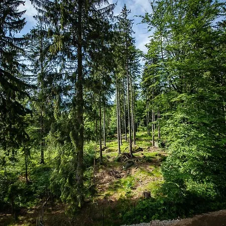 Obis Couette-café Szklarska Poreba